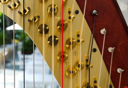 Part of musical instrument called harp.