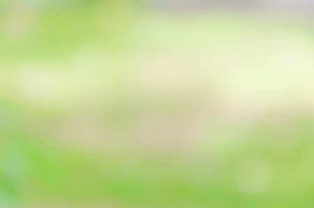 beautiful green nature bokeh abstract for background.の写真素材