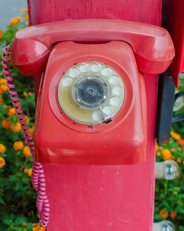 Old red phone vintage style on park.の写真素材
