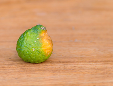 Bergamot on wooden table.の写真素材