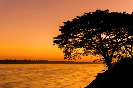 Beautiful sunrise out with silhouetted of tree at Mekong river, laos.の写真素材