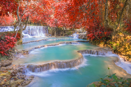 Waterfall in rain forest (Tat Kuang Si Waterfalls at Luang prabang, Laos.)の写真素材