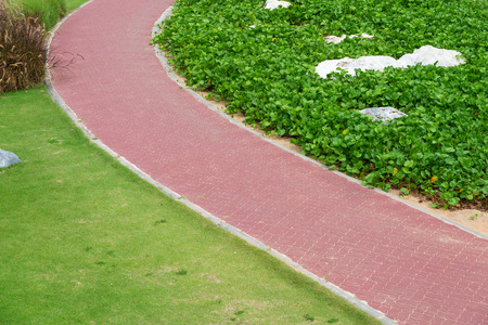 pathway with green grass in garden.