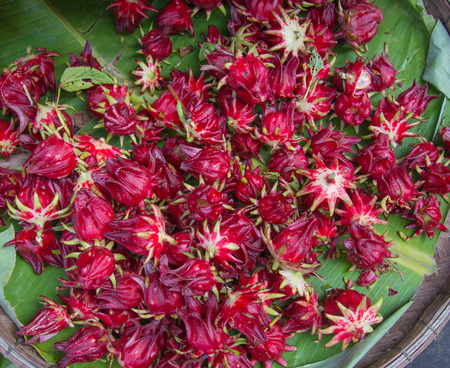 Hibiscus sabdariffa or roselle fruits in plate on table.