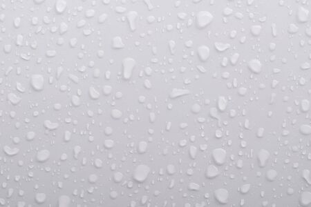 water drops on white background.の写真素材