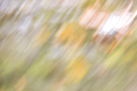 motion blur of green leaf nature, abstract for background.の写真素材