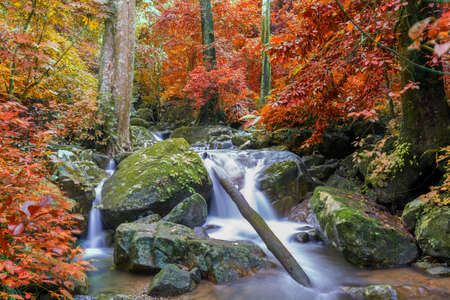 Waterfall in deep rain forest jungle (Krok E Dok Waterfall Saraburi) Thailand.の写真素材