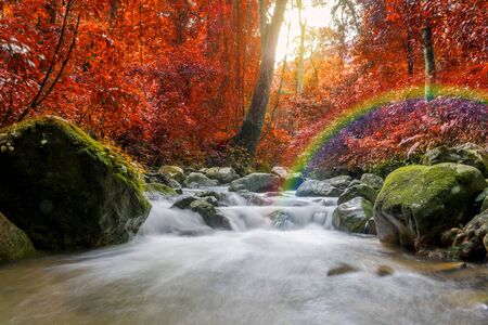 Waterfall in deep rain forest jungle (Krok E Dok Waterfall Saraburi) Thailand.の写真素材