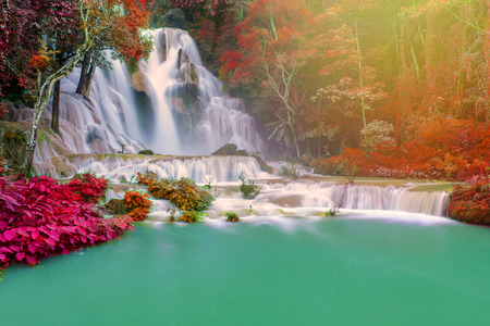 Waterfall in rain forest (Tat Kuang Si Waterfalls at Luang prabang, Laos.)の写真素材