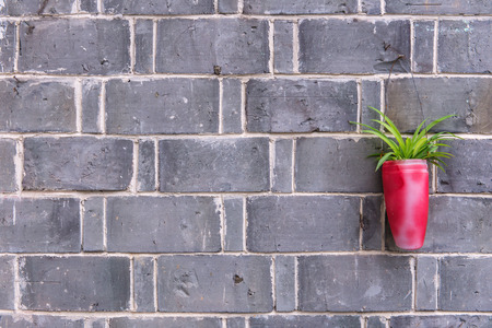 flower in pot on brick wall background.の写真素材