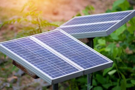 photovoltaic using renewable solar energy in forest.