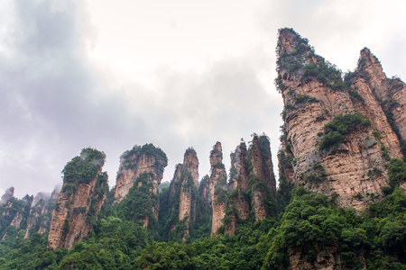 Beautiful view of natural quartz sandstone pillar of Zhangjiajie National forest park at Wulingyuan Hunan China.の写真素材