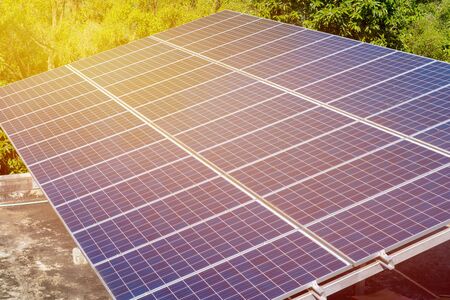 photovoltaic using renewable solar energy in forest.
