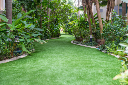 landscape of pathway in the beautiful garden.の写真素材
