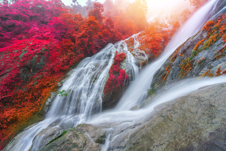 Pi Tu Gro waterfall is often called the Heart shaped waterfalls Umphang ,Thailand.の写真素材