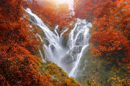 PiTuGro waterfall is often called the Heart shaped waterfalls Umphang,Thailand.の素材 [FY310121342196]