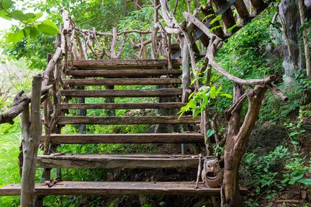Wooden staircase recreational park infrastructure in enchanted forest.