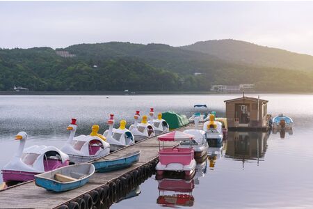 duck Pedal boats at Lake Kawaguchiko Mount Fuji is a popular recreational site for boatingの写真素材