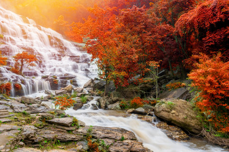 Colourful of Mae ya waterfall is a big beautiful waterfalls in Chiang mai Thailandの写真素材