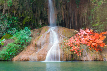beautiful waterfall in rainforest at Phu sang Falls Phoyao, Thailand.の写真素材