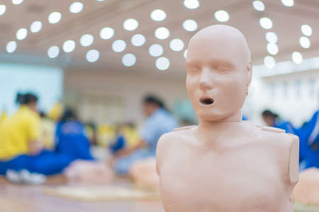 model dummy for CPR training medical in class.の写真素材