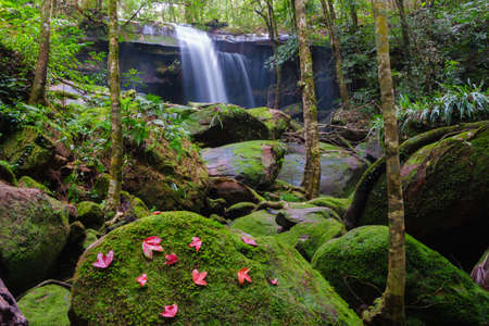 Waterfall at Phu Kradueng national park, Loei Thailand, beautiful landscape of waterfalls in rainforest.の写真素材