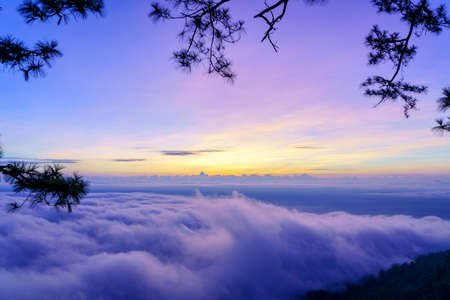 Mist in sunrise at Phu kradueng national park, at Loei province Thailand.の写真素材
