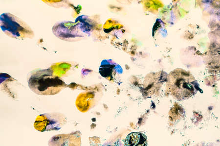 Splash watercolors drops on white background. Abstract colorful for background.