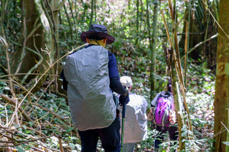 Hiking tourists wearing backpacks outdoors trekking in forest, Hike trail.の写真素材