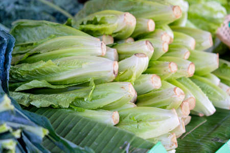Thailand street market with fresh organic vegetables from local farmer market.の写真素材