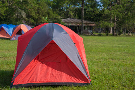 Tourist tent in camp among meadow in Phu Kradueng Thailand.