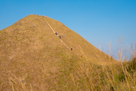 traveler hiking enjoying in the mountains with backpack at Khao Chang Puak mountain Thailand.の写真素材