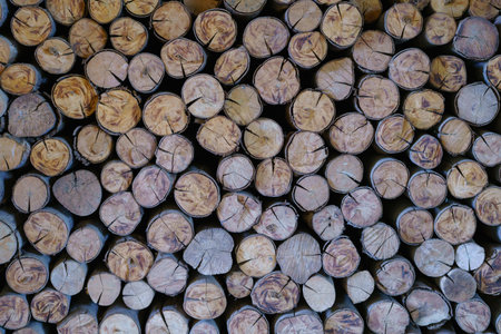 Firewood stacked up in a pile for abstract background.の写真素材