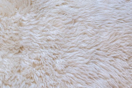 Close up white fur texture or carpet for background.の写真素材