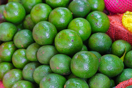 Fresh ripe green organic avocados new harvest on farmers marketの写真素材