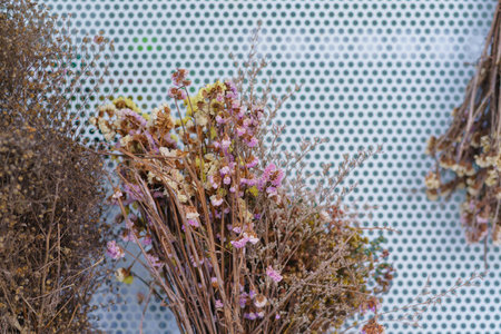 Dried flowers in the wooden bucket. Room decorate in vintage style for background.の写真素材