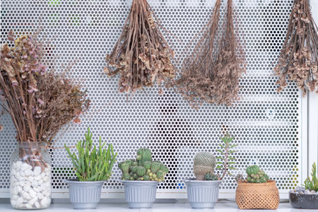 Dried flowers in the wooden bucket with cactus. Room decorate in vintage style for background.の写真素材