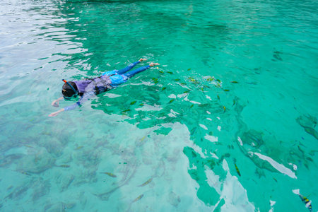 girl in snorkeling mask swims among the fish in Koh Phi Phi Island Thailand, Pileh Lagoon.の写真素材