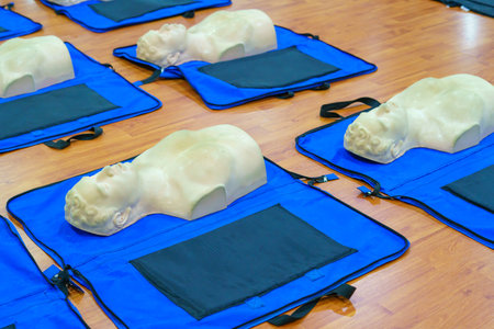 Model of dummy used for CPR training medical in class at hospital.の写真素材