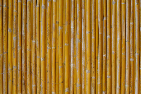 bamboo fence on wood texture for background.の写真素材