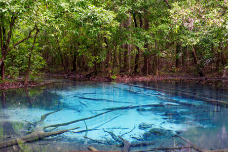 Emerald Pool at Krabi Province, Thailand. Amazing nature crystal clear emerald canal. Beautiful nature landscapeの写真素材
