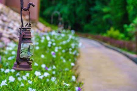 Vintage lamp on footpath with green meadow field.の写真素材