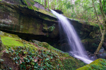 Waterfall at Phu Kradueng national park, Loei Thailand, beautiful landscape of waterfalls in rainforest.の写真素材