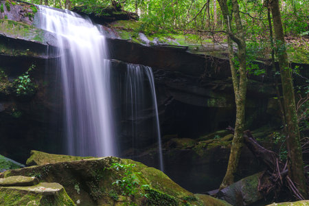 Waterfall at Phu Kradueng national park, Loei Thailand, beautiful landscape of waterfalls in rainforest.の写真素材