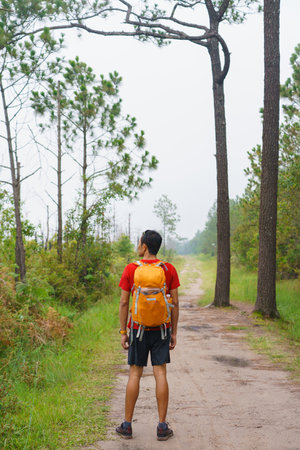 traveler man hiking enjoying in the mountains with backpack at Phu Kradueng national park, Loei Thailand, beautiful landscape.の写真素材