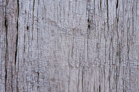 Wooden planks wall texture abstract for background.の写真素材