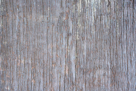 Wooden planks wall texture abstract for background.の写真素材