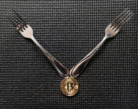 Bitcoin Cryptocurrency Coin Soft Hard Fork Concept