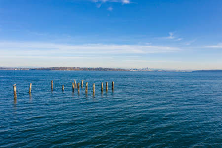 Seattle Skyline View From Bainbridge Island Waterfont Seagulls