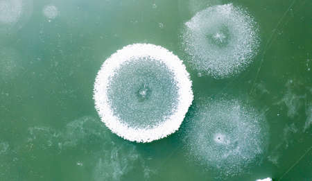 Three Circular Ice Formations Green Frozen Circles Winter Trippy Nature Background